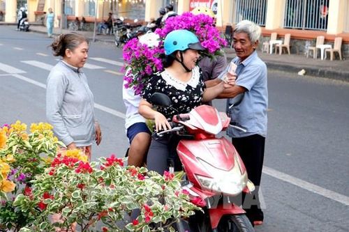 Hoa kiểng lên phố, chợ Xuân Long Châu rộn ràng trước Tết