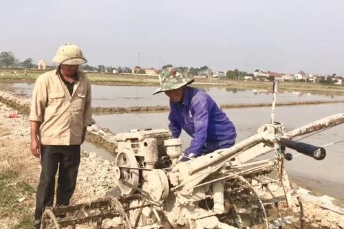 Thiệu Toán đảm bảo sản xuất vụ xuân trong khung thời vụ
