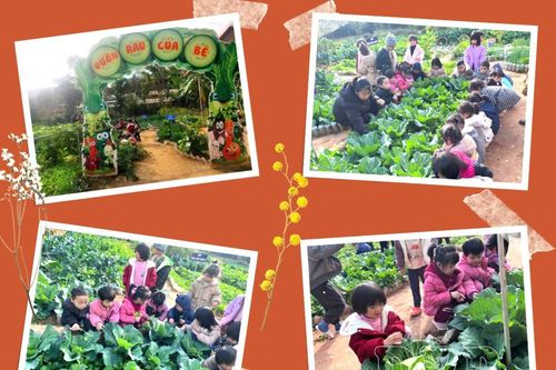 Vì sức khỏe học sinh