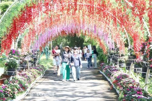 Sẵn sàng cho mùa cao điểm du lịch Tết Nguyên đán