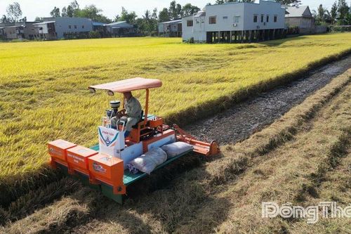 Góp phần nâng cao giá trị nông nghiệp tỉnh Đồng Tháp