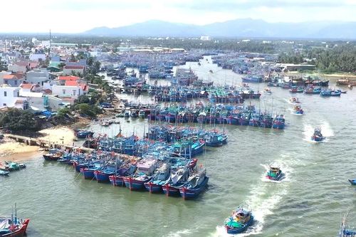 Phát triển ngành thủy sản bền vững, gắn khai thác với bảo vệ nguồn lợi