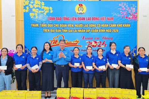 Phó Chủ tịch Tổng LĐLĐ Việt Nam Huỳnh Thanh Xuân trao 100 suất quà Tết cho đoàn viên, người lao động Gia Lai