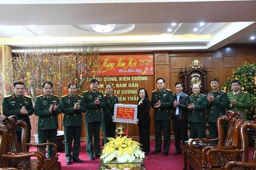 Lãnh đạo tỉnh thăm, chúc tết Sư đoàn 3, Quân khu 1