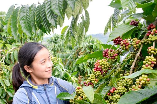Nông dân vùng biên giới phấn khởi đón tết