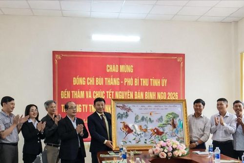 Phó Bí thư Tỉnh ủy Bùi Thắng thăm, chúc tết Công ty xuất nhập khẩu Tân Thành Nam