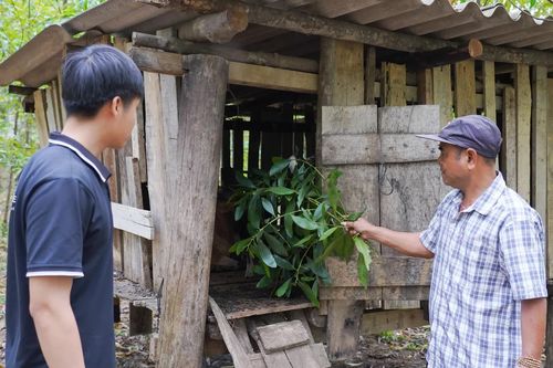 'Điểm tựa' ở Xa Vi