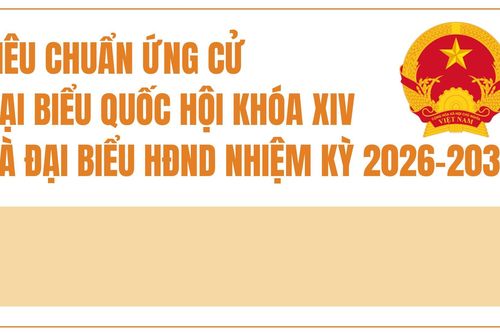 Những tiêu chuẩn đại biểu Quốc hội, đại biểu Hội đồng nhân dân phải có