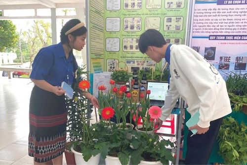 Khơi nguồn nghiên cứu khoa học từ trường học