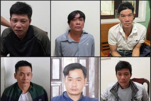 Triệt phá đường dây trộm chó quy mô lớn