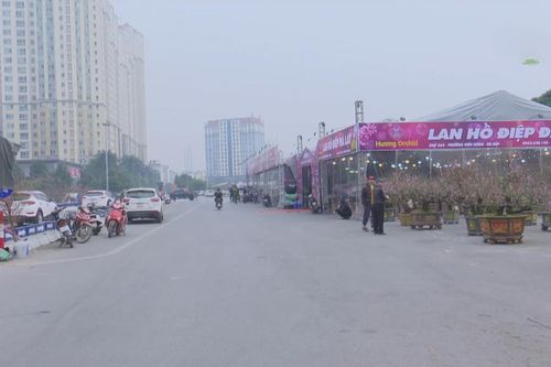Không để chợ hoa 'bóp nghẹt' giao thông