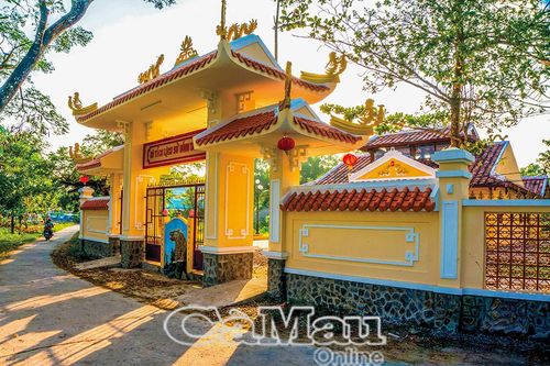 Dấu hiệu mùa xuân