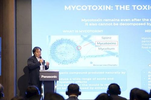 Công nghệ nanoe X thế hệ 3: Giải pháp xử lý nấm mốc trong mùa nồm ẩm
