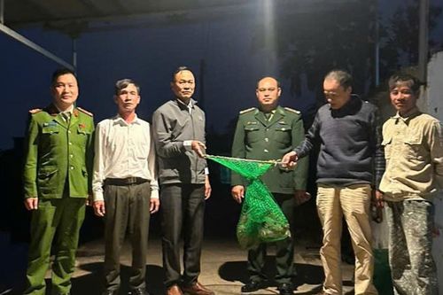 Khỉ đuôi lợn quý hiếm bất ngờ đi lạc vào nhà dân
