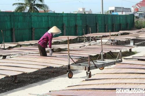 Cận Tết, nghề làm bánh tráng ở vùng biển Lâm Đồng rộn ràng vào vụ