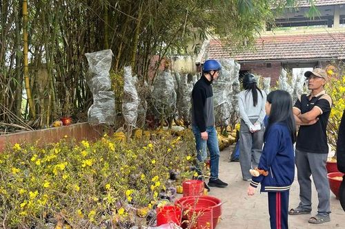 Đào quất xuống phố sớm, chợ Tết vẫn chưa đông