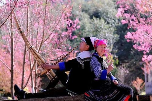 Lên Mù Cang Chải xem hội khèn Mông, ngắm hóa tớ dày