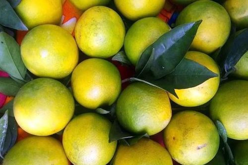 Đặt 2 loại quả này trong phòng ngủ và bạn sẽ nhận thấy điều kỳ diệu xảy ra với cơ thể