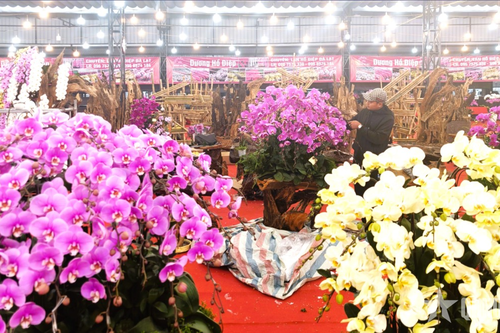 Hội chợ hoa xuân phường Long Biên