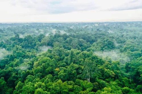 Khoảnh khắc cuối mùa đông