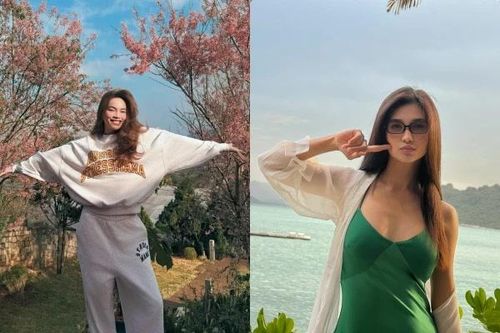 Hot face sao Việt: Hồ Ngọc Hà chụp cùng mai anh đào đẹp như tranh ở Đà Lạt