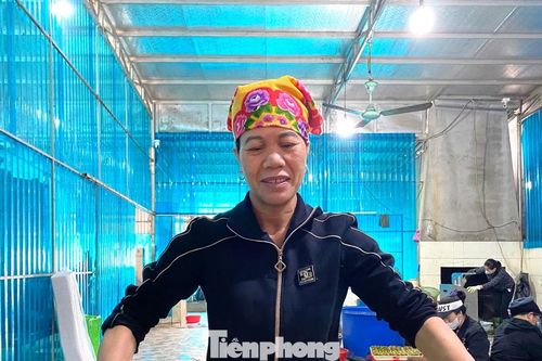 Đến làng chế biến lươn lớn nhất xứ Nghệ ngày áp Tết