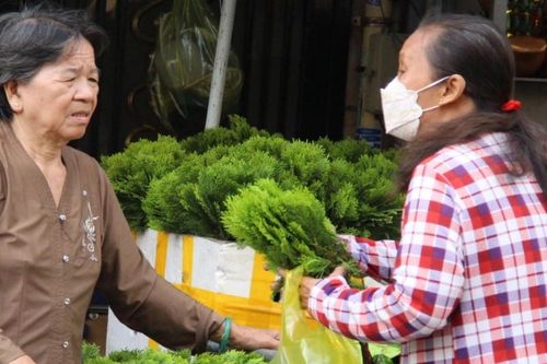 Nhiều người ở TPHCM tìm mua loại lá đặc biệt để 'xả xui', đón may mắn dịp Tết