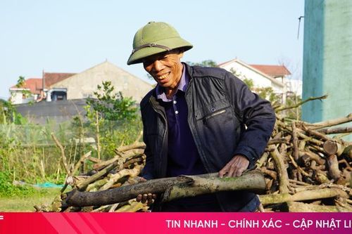 Khi củi khô lên đời thành hàng Tết