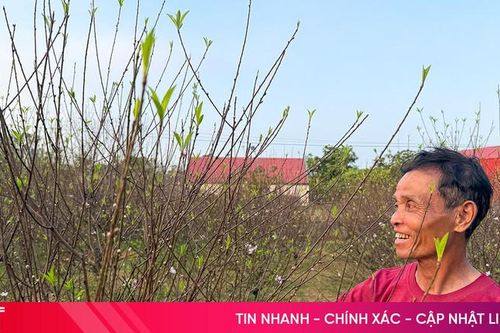 Vì sao nhiều người thích 'đào ta' Toàn Lưu?