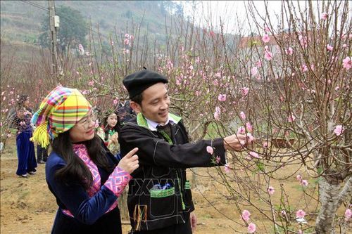 Thời tiết dịp nghỉ Tết Nguyên đán Bính Ngọ: Khu vực Bắc Bộ trưa chiều trời nắng
