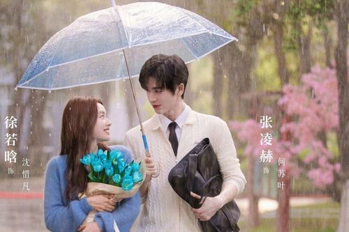 Top 9 phim chữa lành Trung Quốc hay nhất