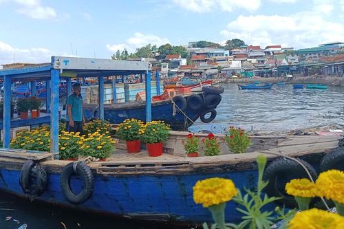 Chở mùa xuân từ đất liền ra đảo