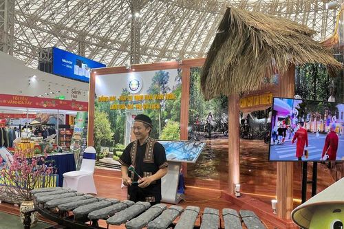 Tiếng đàn đá Đồng Nai lan tỏa giá trị văn hóa tại Hội chợ Mùa Xuân