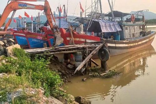 Hỗ trợ sinh kế cho tàu cá không đủ điều kiện hoạt động khai thác có nhu cầu chuyển đổi nghề