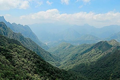 Khởi động Dự án MEPA: Thúc đẩy quản lý tích hợp và bảo tồn bền vững rừng đặc dụng Việt Nam