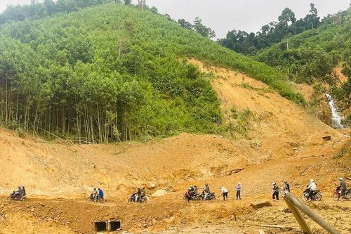 Cần thay đổi cách khai thác rừng keo