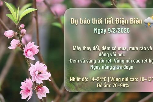 Bản tin Dự báo thời tiết ngày 9/2/2026