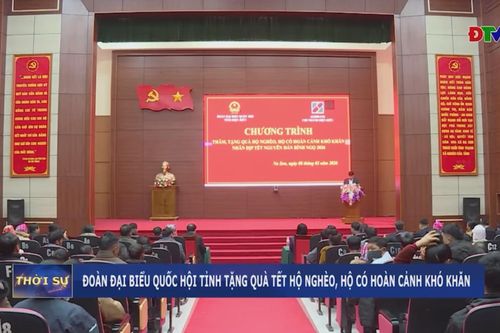 Đoàn đại biểu Quốc hội tỉnh tặng quà tết hộ nghèo, hộ có hoàn cảnh khó khăn