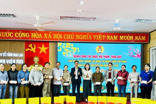 Đoàn Công tác Quốc hội thăm, tặng quà đoàn viên, người lao động khó khăn phường Pleiku