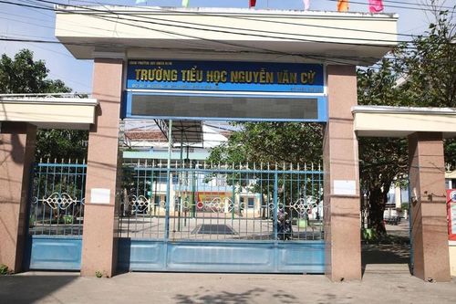 Gia Lai: Đề nghị điều chuyển hiệu trưởng Trường Tiểu học Nguyễn Văn Cừ sau loạt sai phạm