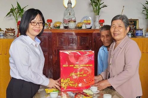 Phó Chủ tịch UBND tỉnh Nguyễn Thị Thanh Lịch thăm, chúc Tết các đơn vị và gia đình người có công