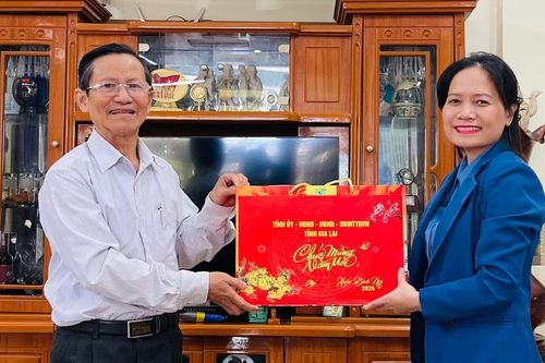 Lãnh đạo Đoàn đại biểu Quốc hội tỉnh Gia Lai thăm, chúc Tết các đồng chí nguyên lãnh đạo