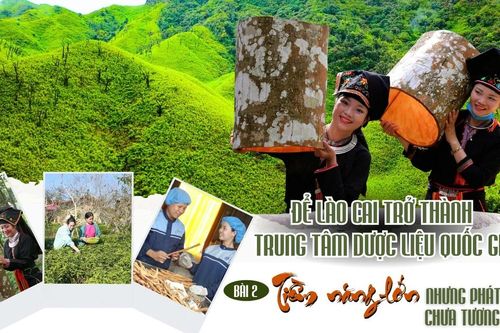 Bài 2: Tiềm năng lớn nhưng phát triển chưa tương xứng