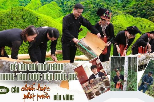 Bài cuối: Cần chiến lược phát triển bền vững
