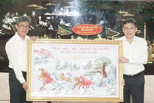 Lãnh đạo UBND tỉnh Lâm Đồng chúc Tết Đại học Quốc gia và Đại học Y Dược TP. Hồ Chí Minh