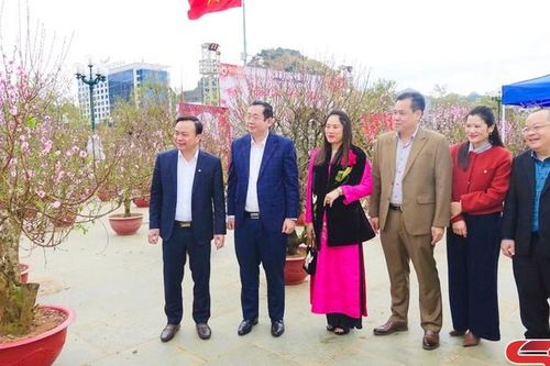 Khai mạc Chợ hoa xuân phường Tô Hiệu - Xuân Bính Ngọ 2026