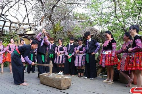 Về Vân Hồ du xuân