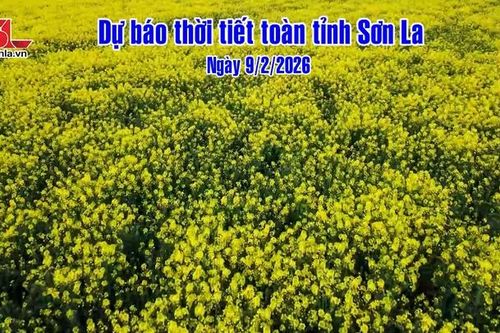 Dự báo thời tiết toàn tỉnh Sơn La ngày 9/2/2026