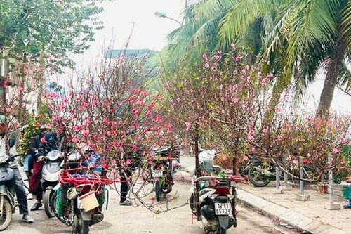 Vỉa hè Hà Nội chật chội mùa hoa Tết