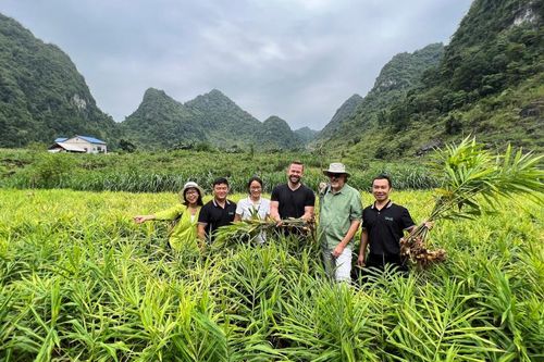 Gừng hữu cơ đánh thức 'vùng đất khát' Lục Khu - Bài 1